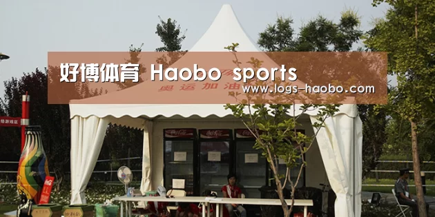 案例标题五
